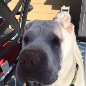 Meet your Posher, Cindy